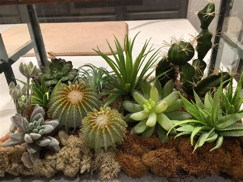 Faux Succulent Garden | Succulents garden, Plants, Garden