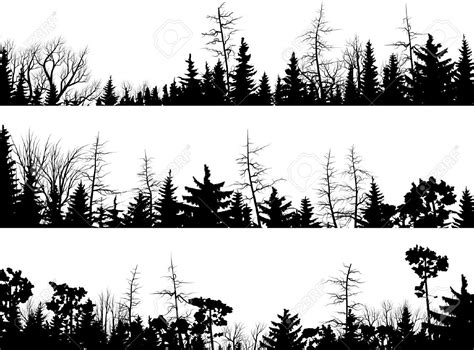 Set Of Vector Horizontal Silhouettes Coniferous Treetops Forest ...