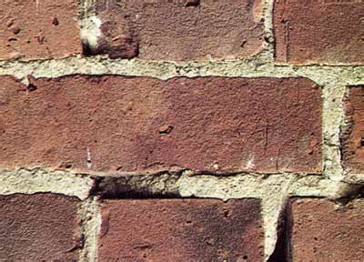 Pointing Brickwork | How to Point Brickwork and Renewing Mortar Joints | DIY Doctor