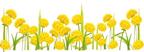 Dandelion clipart transparent background, Dandelion transparent background Transparent FREE for ...