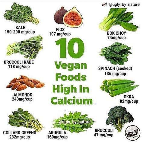 10 Vegan Foods High in Calcium | Vegan calcium, Foods with calcium ...