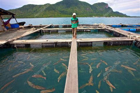 Vietnamese Fish Farmer – Stock Editorial Photo © sbures #8286521