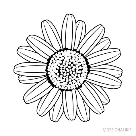 Daisy Flower Black and White Clip Art Free PNG Image｜Illustoon