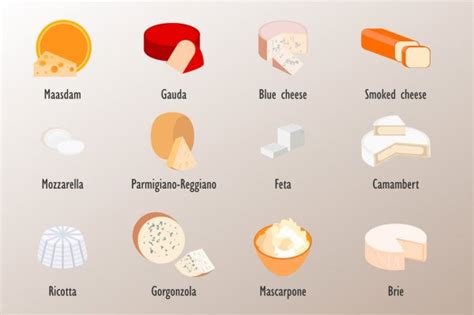 100,000 Goat cheese Vector Images | Depositphotos