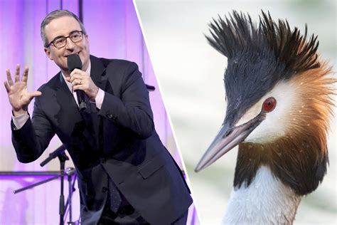 New Zealand's Bird of the Century results are in, and John Oliver is the big winner!