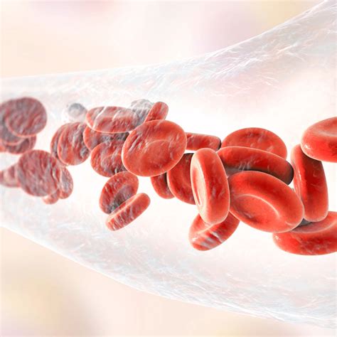 What is cord blood banking used for?