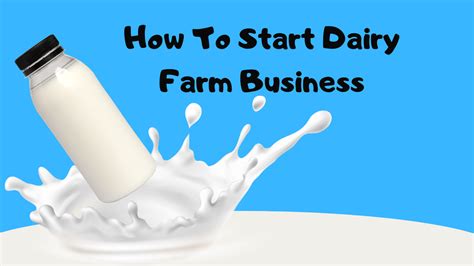 How To Start Dairy Farm Business