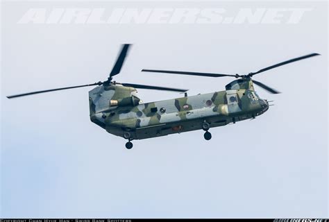 Boeing CH-47D Chinook - South Korea - Army | Aviation Photo #5891393 | Airliners.net