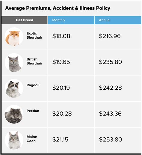 What Pet Insurance Costs | Money