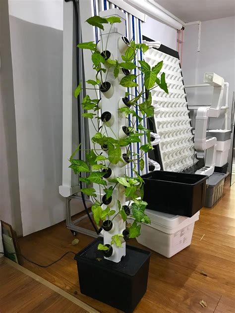 2018 New Vertical Tower Hydroponic Growing Systems For House And Garden - Buy Hydroponic Growing ...