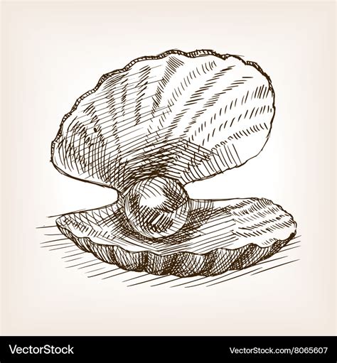 Sea shell with pearl hand drawn sketch Royalty Free Vector