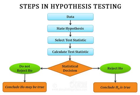 Hypothesis Testing Steps - Time Series Analysis