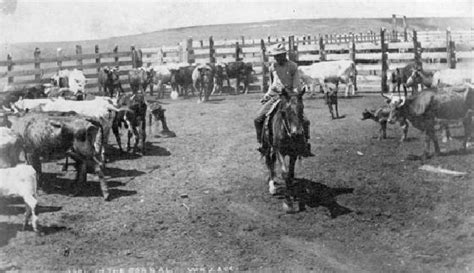 Cattle Ranches | Colorado Farmers and Ranchers | Doing History Keeping ...