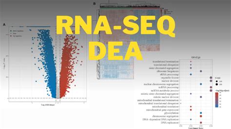 Analyze rna seq data, differential expression analysis by Rafatafahmy ...