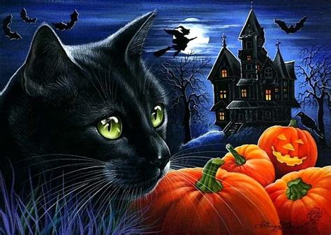Update 83+ black cat halloween wallpaper best - 3tdesign.edu.vn