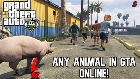 GTA Peyote Plants! Becoming Animals In Gta Online! - YouTube