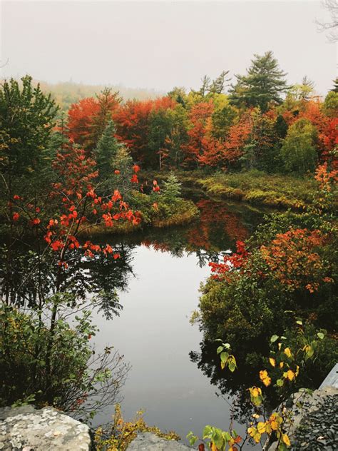 Fall in Halifax Nova Scotia #fall #autumn #hiking | Nova scotia, Travel ...