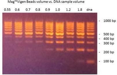 MagVigen™ Easy DNA Select Kit - NVIGEN