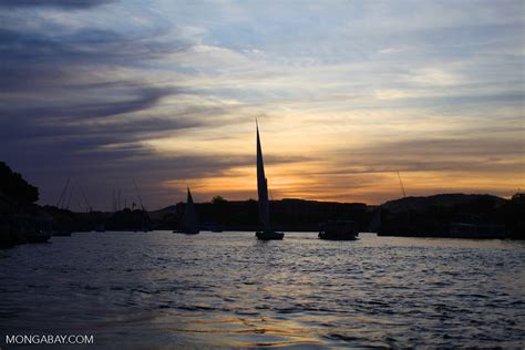 Sunset on the Nile River