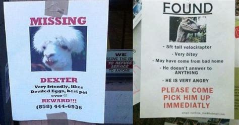 25 Funny Lost and Found Signs That Are on Point