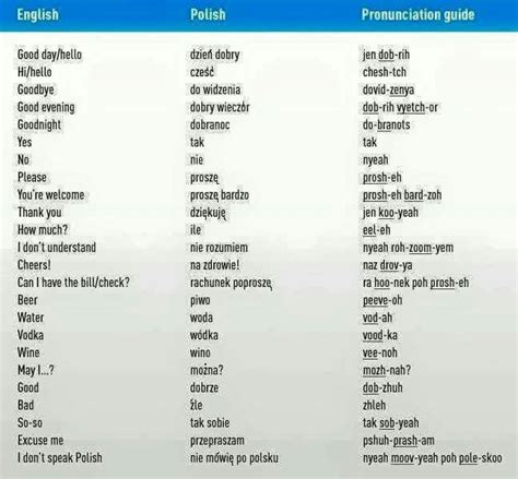 Basic Polish Words | Learn polish, Polish words, Polish language