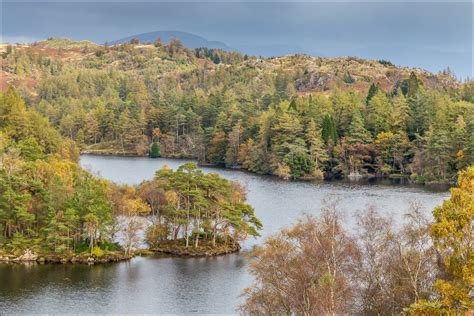 Tarn Hows walk - Coniston walks - Lake District walks