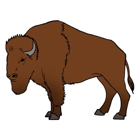 How To Draw A Buffalo in 2023 Don t miss out | howdrawart3