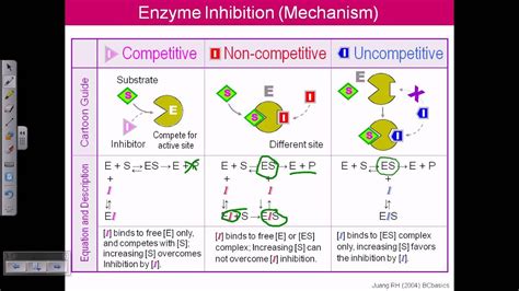 Enzyme inhibition - YouTube