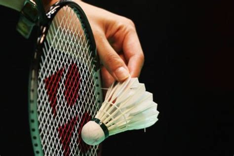 6 Best Badminton Racket Brands You Need to Know | Playo