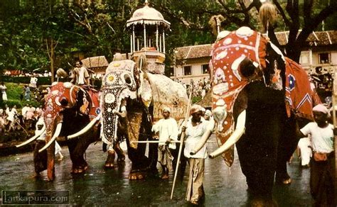 Kandy Perahera Sri Lanka c.1960 - 1970