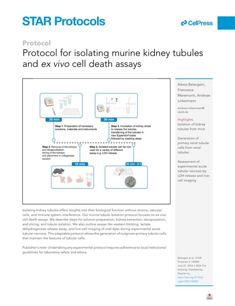 (PDF) Protocol for isolating murine kidney tubules and ex vivo cell death assays