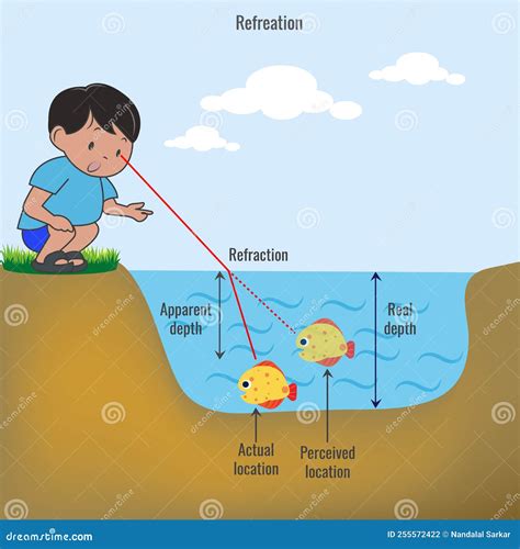 Real Example of Refraction of Light Vector Illustration Stock Vector ...