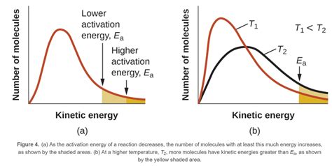 physical chemistry - Boltzmann factor vs. graph of Maxwell–Boltzmann distribution - Chemistry ...