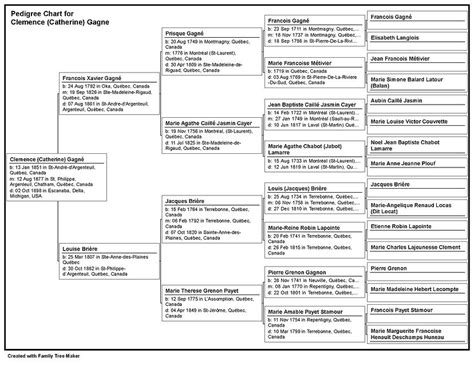 Catherine's Family Tree | My Genealogy Notes