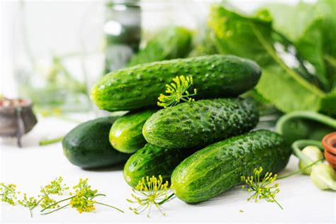 Are Cucumbers Keto Friendly? - Oh So Foodie