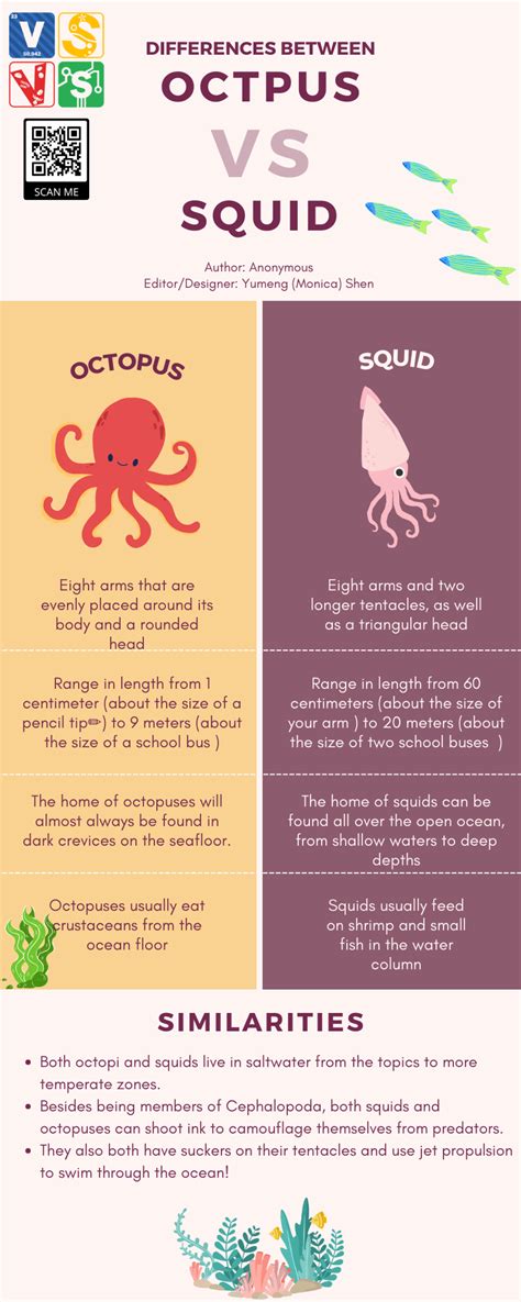 Octopus vs. Squid撚 | Vanderbilt Student Volunteers for Science