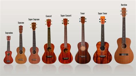 Ukulele Types - See more Ukuleles at http://tonysmusic.net/ukulele-store/ | Ukuleles | Pinterest ...