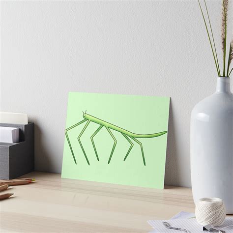 "Dancing Stick Bug Meme" Art Board Print by Seaotter9000 | Redbubble