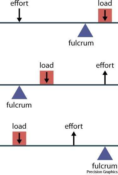 Fulcrum dictionary definition | fulcrum defined