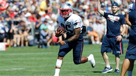 Patriots RB preview: Will Dion Lewis be cut? – Metro US