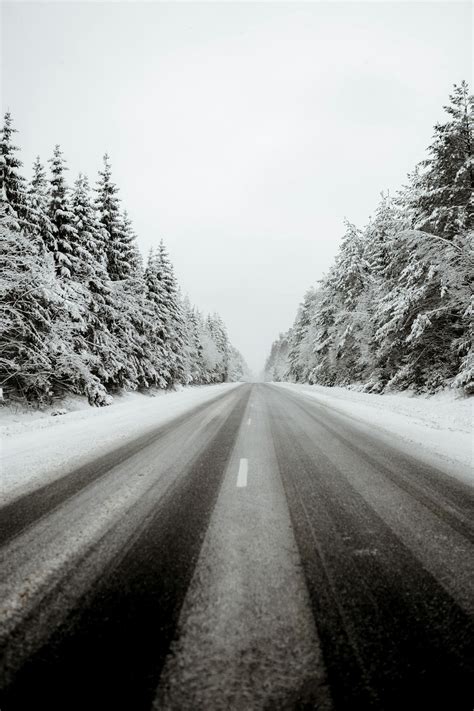 Road covered with snow going through forest · Free Stock Photo