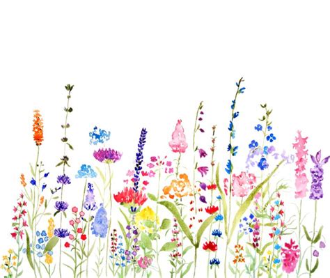 colorful wildflower fields watercolor Art Print by Color and Color - X ...