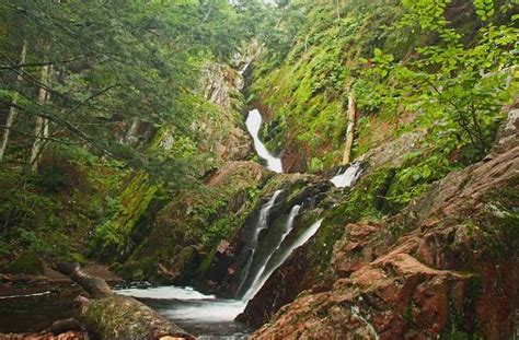 Chequamegon-Nicolet National Forest - Beyond The Tent