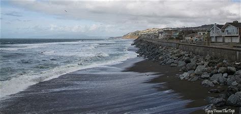 Where Pacifica meets the Pacific | Tipsy from the TRIP