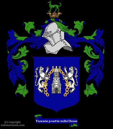 Kelly Coat of Arms, Family Crest - Free Image to View - Kelly Name Origin History and Meaning of ...