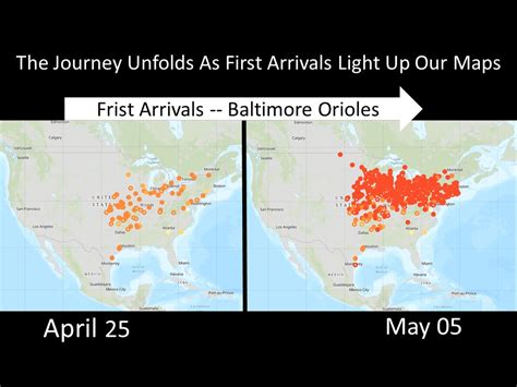 05/06/2020 Baltimore Oriole Migration Map