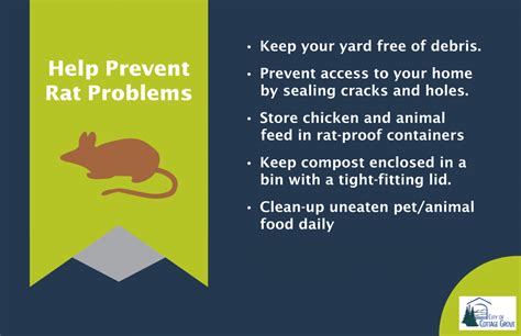 Rat & Rodent Prevention Information | Cottage Grove Oregon