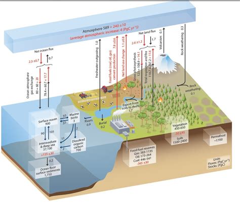 MetLink - Royal Meteorological Society The Changing Carbon Cycle