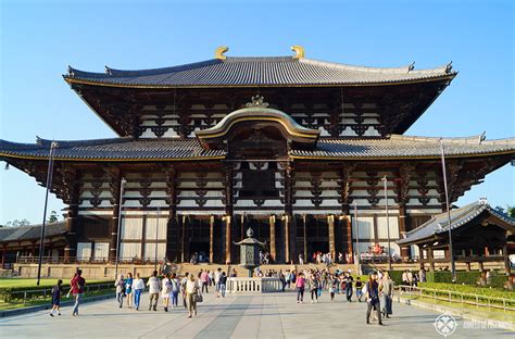 10 best things to do in Nara, Japan [2020 travel guide]