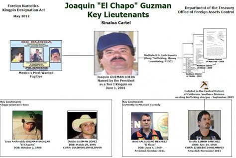 US Freezes Assets Of Sinaloa Drug Cartel Kingpin's Sons | IBTimes